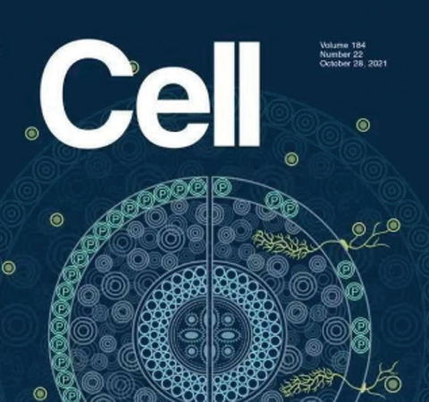 祝賀王二濤老師團(tuán)隊(duì)又一佳作榮登Cell期刊！