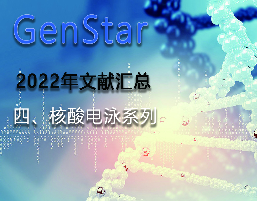 GenStar 2022年文獻匯總（四、核酸電泳系列）